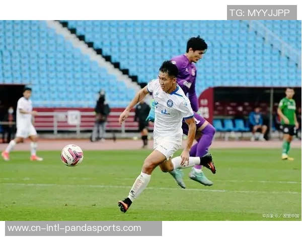 黑龙江火山鸣泉与新疆雪豹纳欢的精彩对决与魅力碰撞