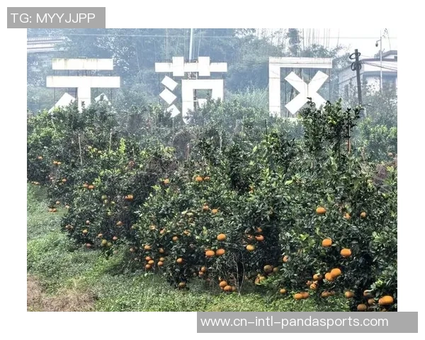 200名选手现场比拼!四川宜宾翠屏区垂钓竞赛让村庄热烈起来 200名选手现场比拼!四川宜宾翠屏区垂钓竞赛让村庄热烈起来